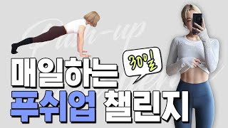 매일 하는 30일 5x5 푸시업 챌린지 feat. 전신운동, 코어 ㅣ Push up challenge 30days