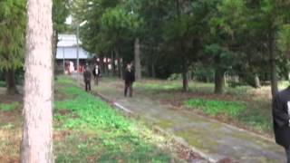 伝統の神事・赤城神社のご神幸祭