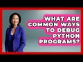 What Are Common Ways To Debug Python Programs? - Python Code School