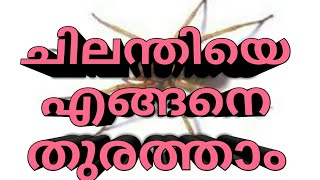 വീട്ടിൽ ചിലന്തി ശല്യം ഉണ്ടോ എന്നാൽ ഇങ്ങനെ ചെയൂ പിന്നെ ചിലന്തി ശല്യമേ ഉണ്ടാകില്ല