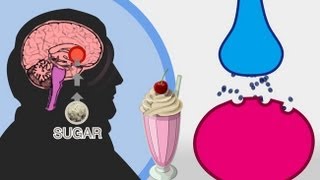 The Skinny on Obesity (Ep. 4): Sugar - A Sweet Addiction