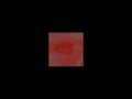 (Sandy) Alex G - Big Fish