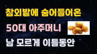 참외밭 서리하다 딱 걸린 아주머니 (실화사연)