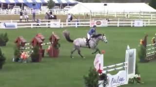 Video of VDL ENDORADO RYAL K ridden by AMANDA SEALE from ShowNet!