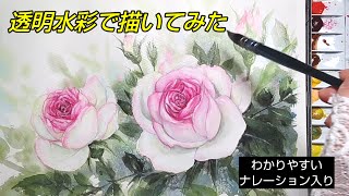 [Watercolor painting]/How to draw roses /Pink rose/ Watercolor painting for beginners