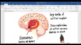 IGNOU BPCS 186 managing stress exam impo questions STRESS MODELS GAS GNERAL ADAPTATION MODEL