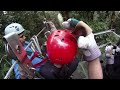 death on a zipline in costa rica s monteverde rainforest