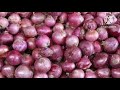 प्याज किसानों के लिए खुशखबरी प्याज के भाव में होगी बंपर बढ़ोतरी onion rate today onion price