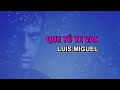 Luis Miguel - Que tú te vas (Karaoke)