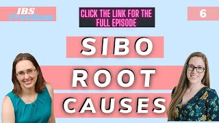 Ep 6 SIBO ROOT CAUSES - IBS Freedom Podcast Highlights