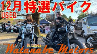 今が旬‼12月のハーレー特選車【美しきブレイクアウト＆貫禄のスプリンガー】