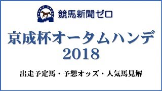 「京成杯オータムハンデ2018」出走予定馬・予想オッズ・人気馬見解