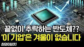 겨울이 없는 반도체 기업 알려드립니다