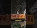 אימו של החטוף מתן צנגאוקר מפגינה מתוך כלוב למען שחרורו