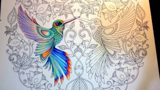 Secret Garden  by Johanna Basford - Hummingbirds ( Part 1)