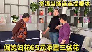 倔媳妇花65元添置三盆花，用来装饰屋子，华强当场提要求！【倔媳妇】