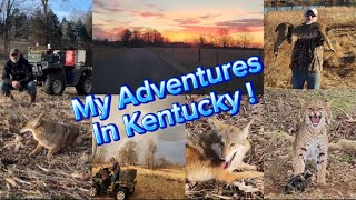 Trapping In Kentucky With The Bluegrass Trapper  (Part 1 ) ! #Coyotes #Kentucky #Trapping #Bobcats