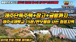 청정 제주 한경면 청수리 단독주택과 귤밭까지 인생2막을 제주에서 시작하세요