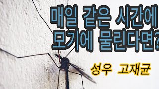 [힐링] '모기에 물리기 전'에 듣는 시 - 성우 고재균