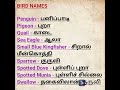 bird names in tamil through english shorts learntamil birdnames