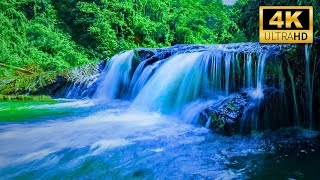 4K HDR Relaxing River Sounds 🌿 Beautiful Forest Sound, Peaceful Birds Chirping, Natural Sound #relax