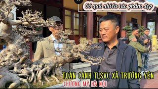 Quảng Tùng| Chia sẻ Quý vị, Toàn cảnh TLSVC xã Trường Yên Chương Mỹ HN