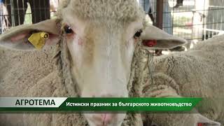 Агротема: Истински празник за българското животновъдство