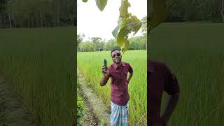 শেখ হাসিনা খালা#shorts#ytshorts