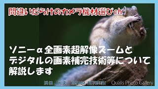 間違いだらけのカメラ機材選びch 「ソニーα全画素超解像ズームとデジタルの画素補完技術等について解説します」