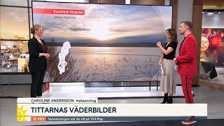 Skidvädret: Här finns snön! | TV4 Nyheterna | TV4 & TV4 Play