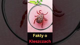 4 Fascynujące Fakty o Kleszczach🕷️#panrobal #ciekawostki #zwierzęta #owady #natura #kleszcze #shorts