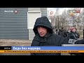 В Якутии стая собак насмерть загрызли двенадцатилетнюю девочку