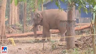 പിടി സെവനെന്ന ഒറ്റയാനെ പിടികൂടാനുള്ള ശ്രമങ്ങള്‍ക്ക് രൂപരേഖ | Elephant | PT 7