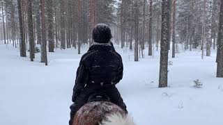 Horses of Taiga Arctic Lapland 3 day horse ride Mar 2019