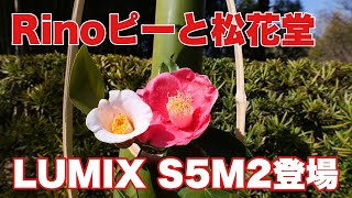 Rinoピーと松花堂散歩　LUMIX S5M2登場