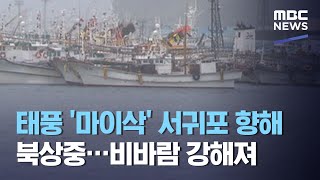 태풍 '마이삭' 서귀포 향해 북상중…비바람 강해져 (2020.09.02/뉴스투데이/MBC)