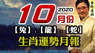 【兔、龍、蛇】2020年10月份生肖運勢月報（庚子年丙戌月）｜好運來抱抱｜10/08-11/06｜金玲老師（有字幕）