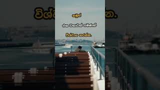 දහස් වතාවක් සමාව 🤔#motivation#shortvideo #quotes