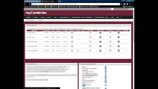 How to Flag Your Course in Moodle (Create a Blank Template)