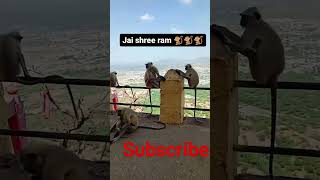 # Jai Shree Ram #🙏🙏# dr jhatka animal #