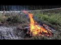 fighting the wind and burning dead bamboo over a low fire while trying to cultivate the fields.