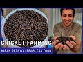 Are Crickets The Future of Food? | Fearless Food | Kiran Jethwa