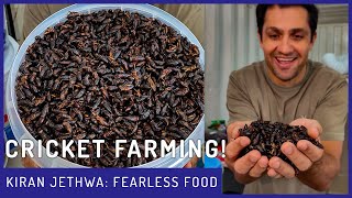 Are Crickets The Future of Food? | Fearless Food | Kiran Jethwa