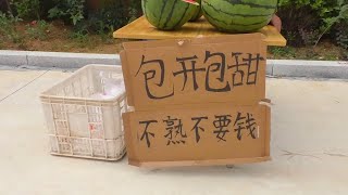 四川方言：小伙卖西瓜遇到妹子，要套路【百花娱乐】