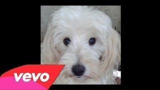 Paramore - Decode [OFFICIAL VIDEO]