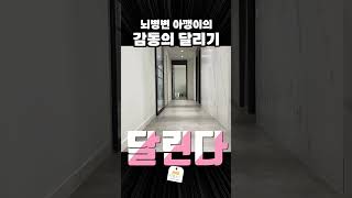 미치도록 사랑스러운 뇌병변 아깽이의 달리기 #고양이호수 #새끼고양이 #아기고양이