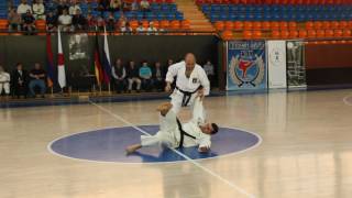 SHOTOKAN ARMAVIR HIDEO OCHI SEMINAR DEMO