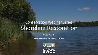 Shoreline Restoration