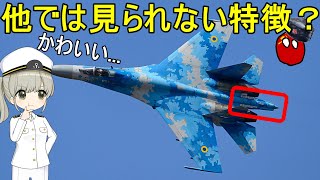 なぜソ連のSu-27戦闘機にはしっぽが生えているの？