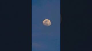 Zooming in on the moon with a samsung s24 ultra #moonshot #moonvideo #moon